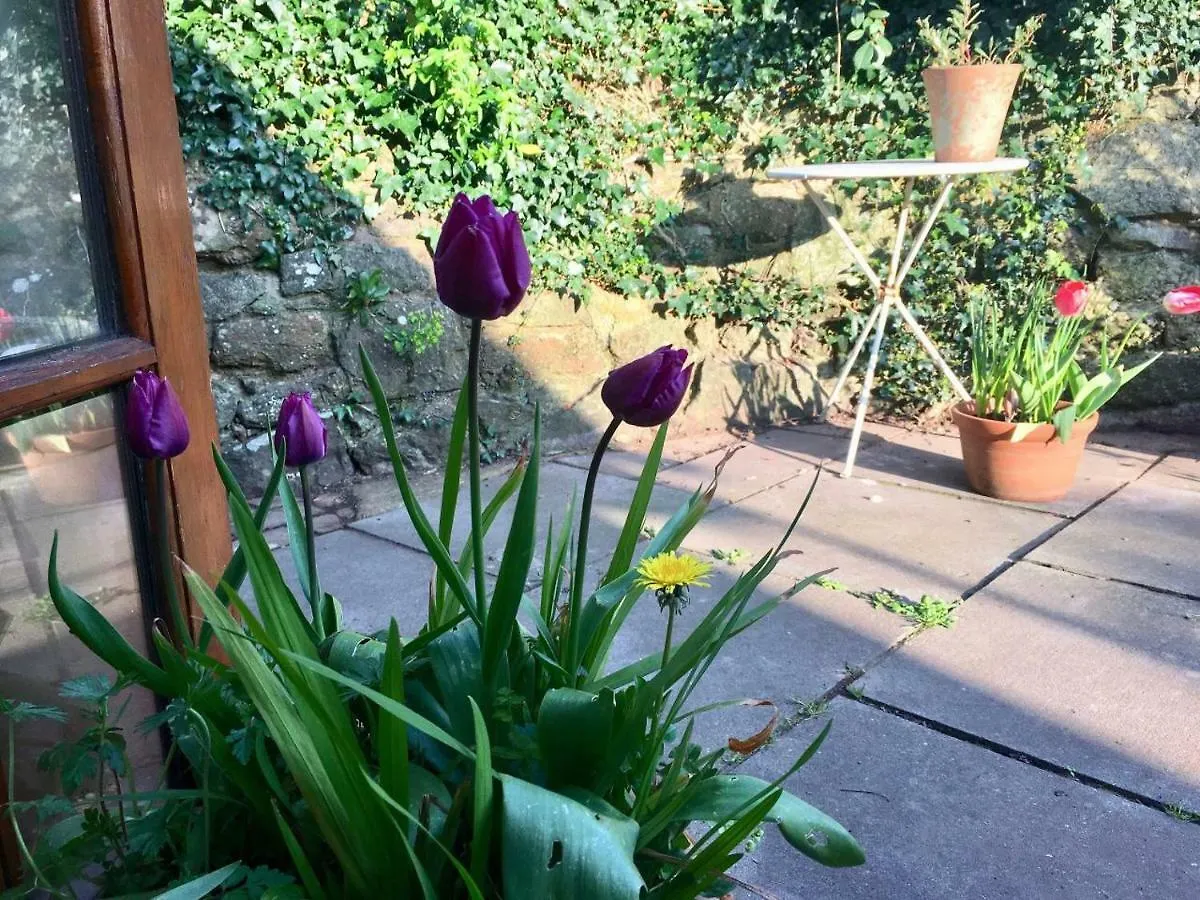 Secret Garden Cottage Exeter 0*,